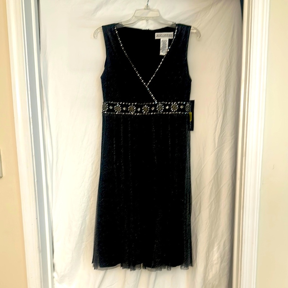 Elegant Black Sleeveless Dress